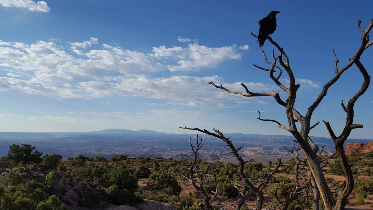 Utah, USA